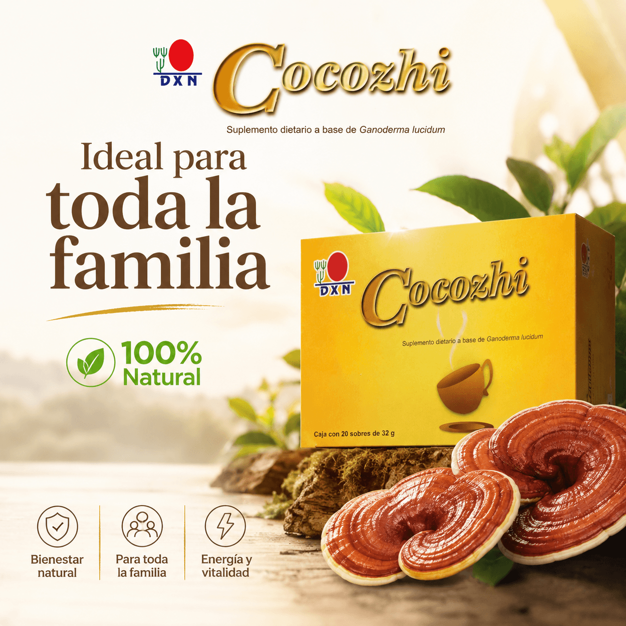 Cocozhi