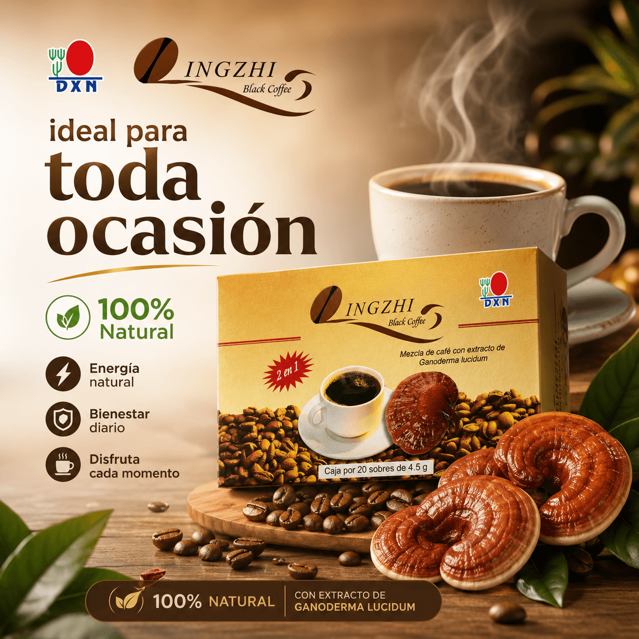 Lingzhi Black Coffee 2 en 1