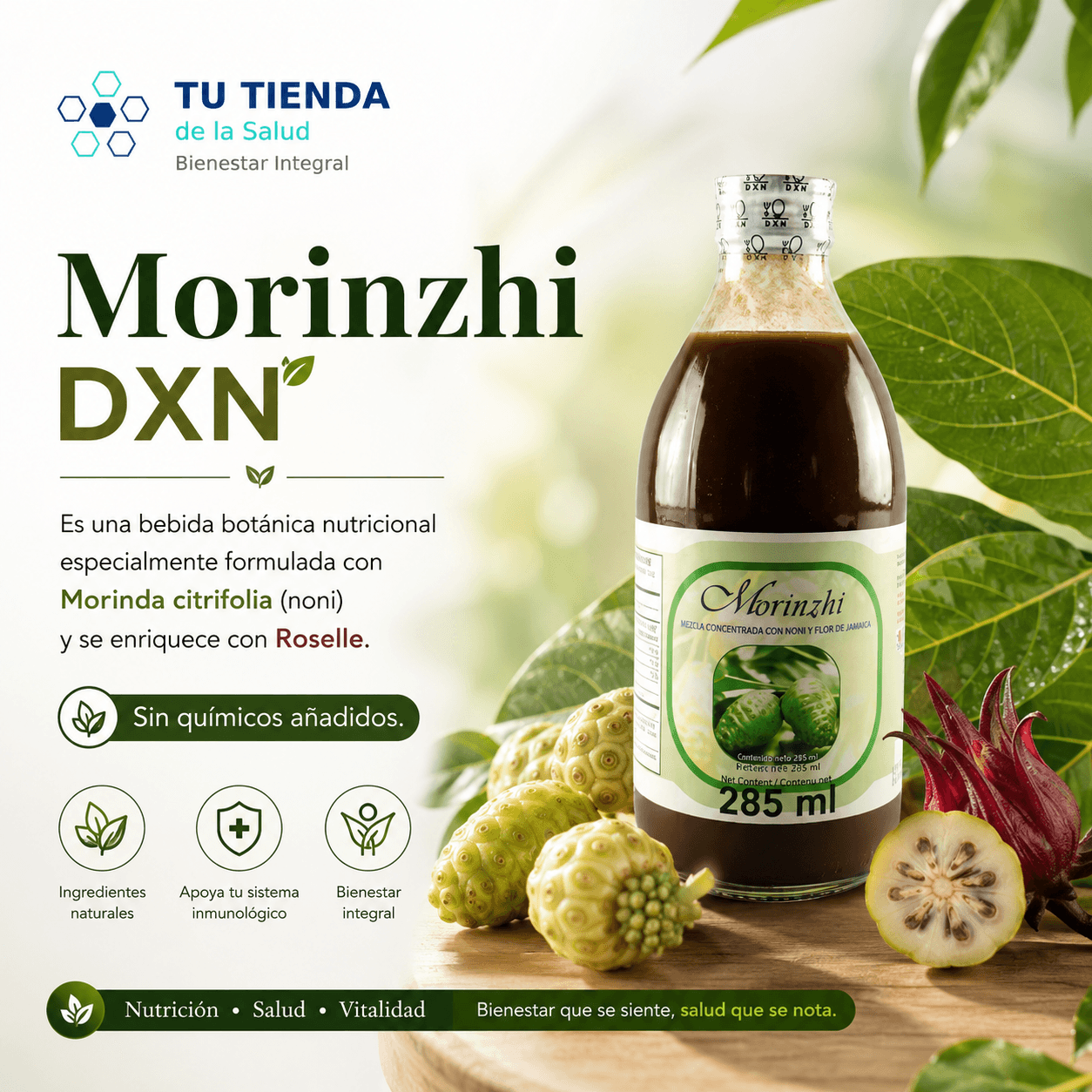 Morinzhi